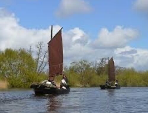 Bustour ins Teufelsmoor