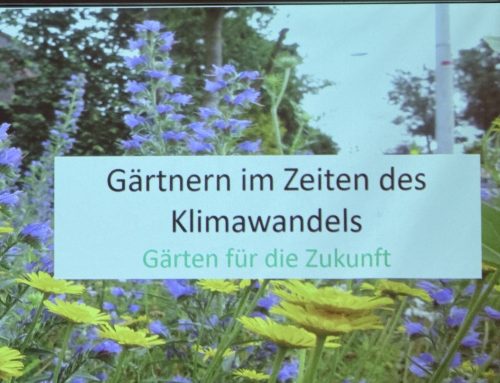 Mein Garten im Klimawandel